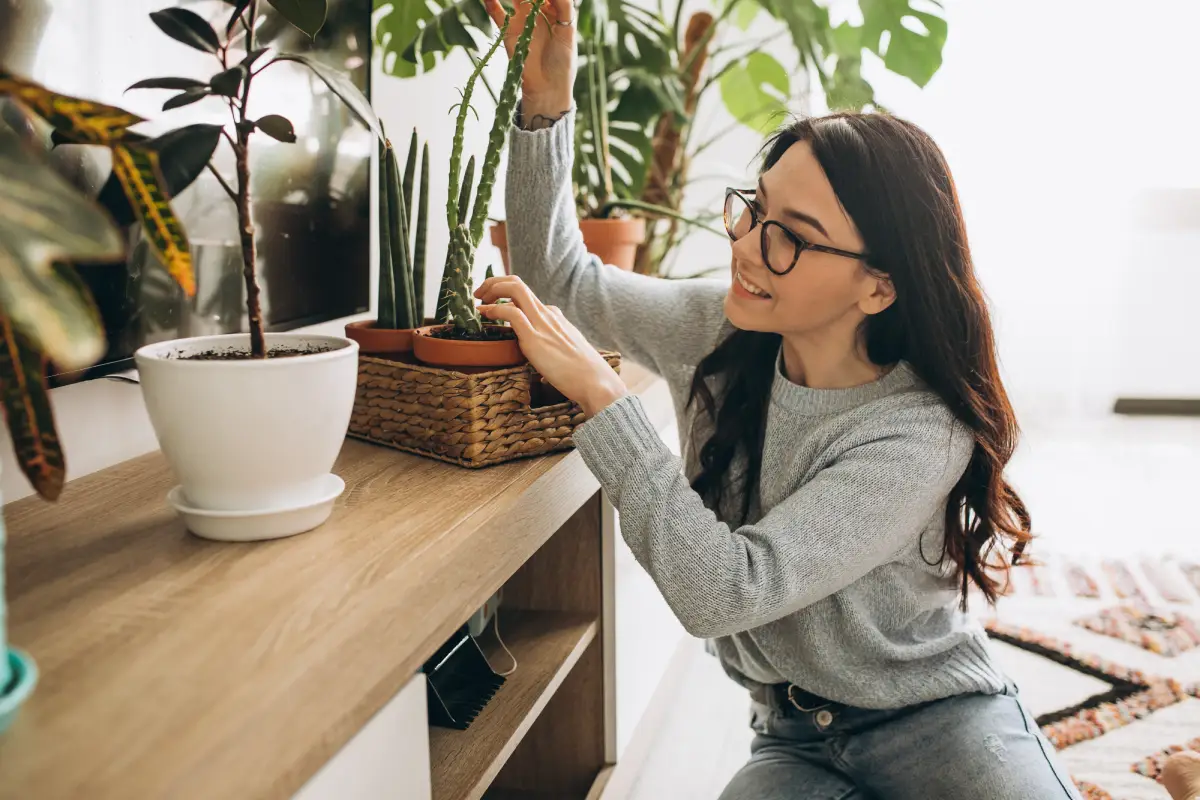 10 Plantas Ideais para Transformar sua Área Gourmet