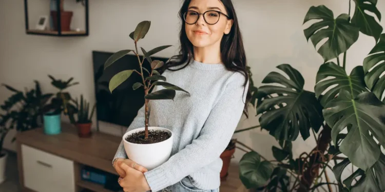 10 Plantas Ideais para Transformar sua Área Gourmet
